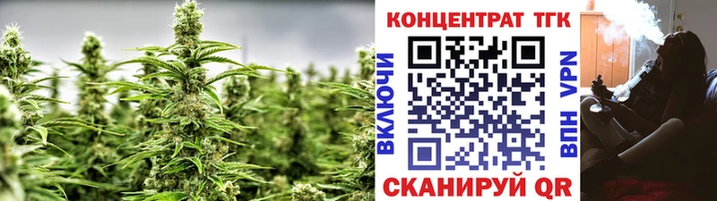 ТГК концентрат  сколько стоит  Ленинградская 