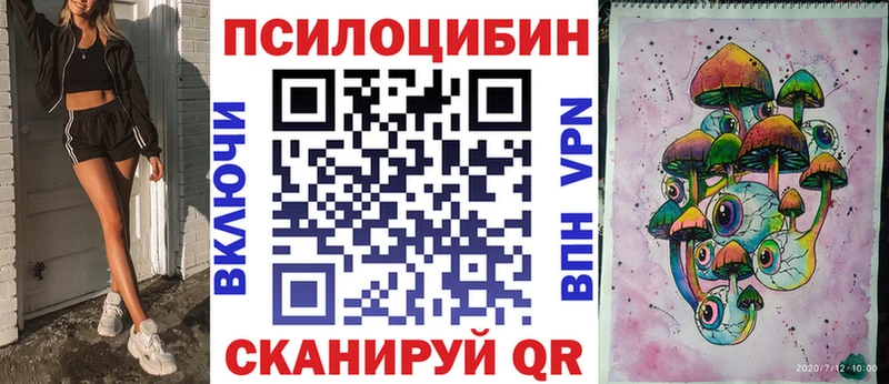 Псилоцибиновые грибы Psilocybe хочу Ленинградская